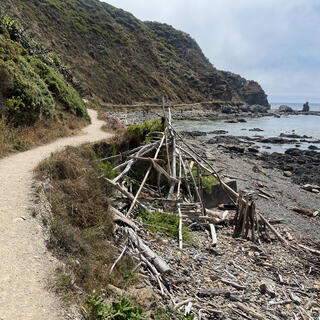 A tidy dirt path runs between a driftwood structure on the beach and the shrub covered bank.