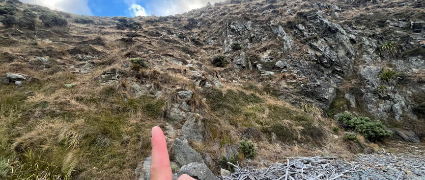 A finger points at the very steep grass and rock bank heading to the top of the hill.