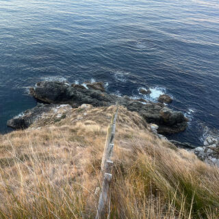 Looking down a fenceline planted on a steep hillside above the sea.