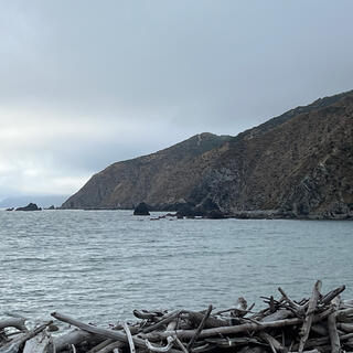 Looking back at the previous section of coastline, from the beach which is covered in driftwood.