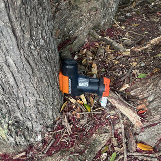 A black and orange plastic device mounted at the base of a tree.