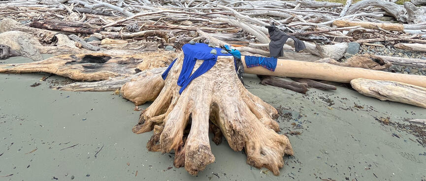 My clothing is draped over driftwood including a tree trunk which looks like a human foot.