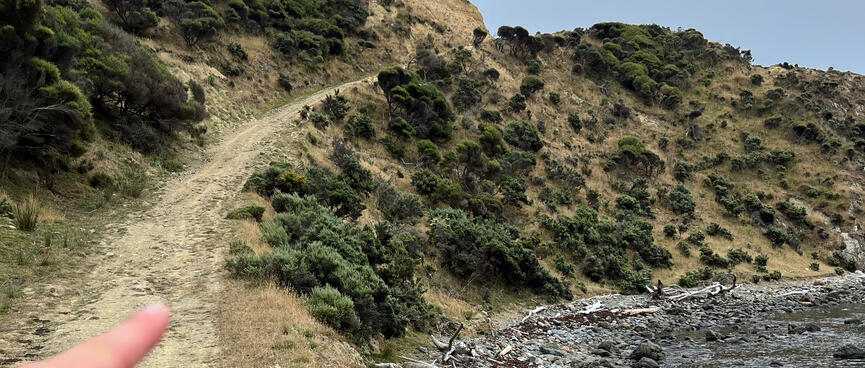 A dirt path runs from the coast to a hill.