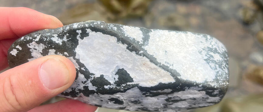 A small grey rock is partially covered in a white layer.