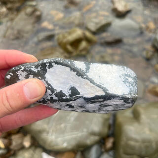 A small grey rock is partially covered in a white layer.