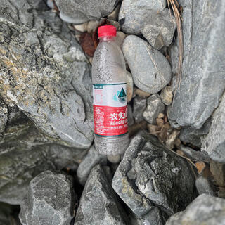An empty plastic bottle labelled ʼNongfu Springʼ.