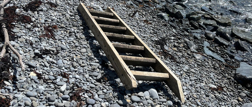 A wooden ladder lies on a pebbly beach.