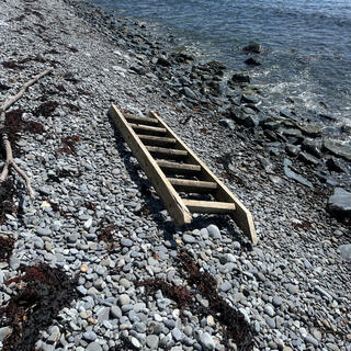 A wooden ladder lies on a pebbly beach.