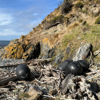 A few black buoys lying in a pile of driftwood.