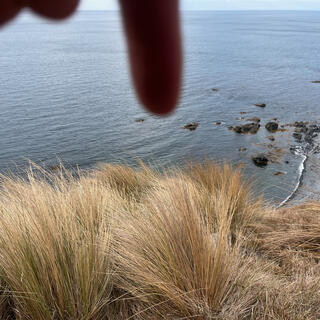 Pointing down the hill towards an obscured point on the coast.