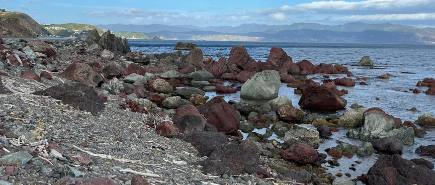 Grey and crimson rocks in the sea.