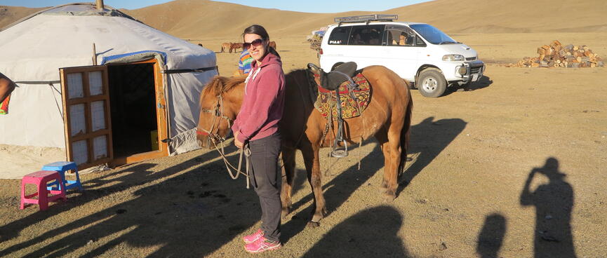 A female tourist stands next to a brown horse.