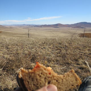 A wide open vista and a half eaten sandwich.