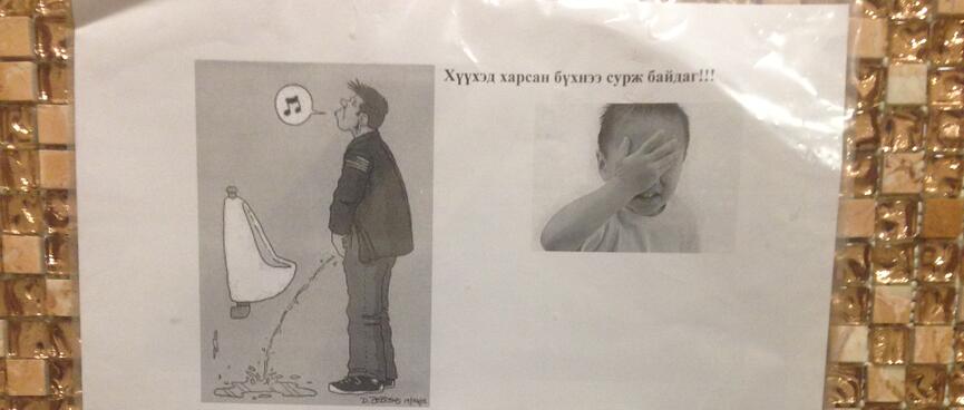 A black and white printout explains how to pee into a western style sit down toilet.