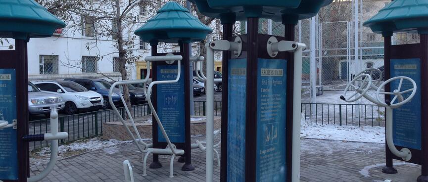 Metal bars attached to tall kiosks displaying exercise instructions.