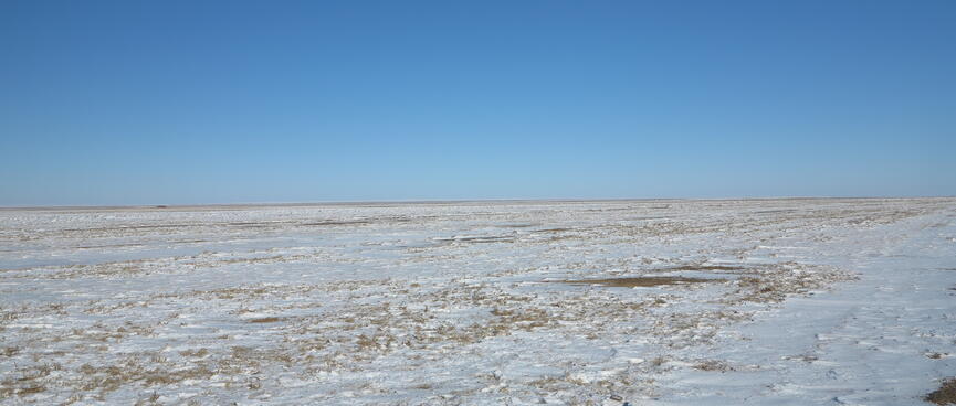 A long truck-trailer is barely visible on the horizon.