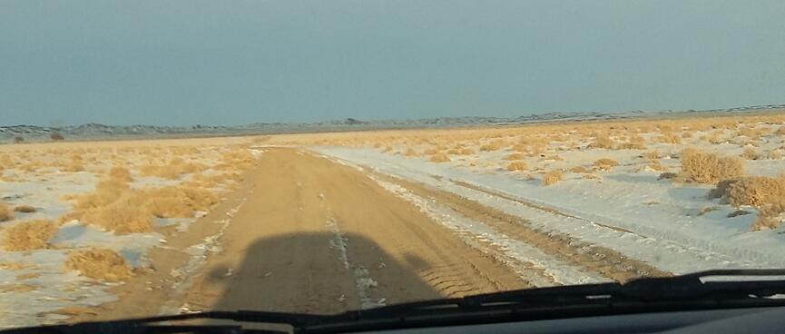 View out the windscreen to a dirt road with snow and low shrubs either side.