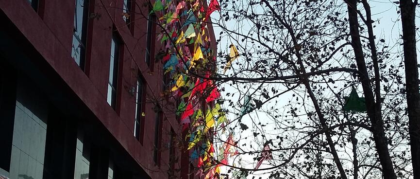 Green, blue, pink, red and yellow flags hang from cables running from the top of a building to the ground.