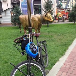 My bike leans against a lamppost, in front of a bronze bull, in Irkutsk.