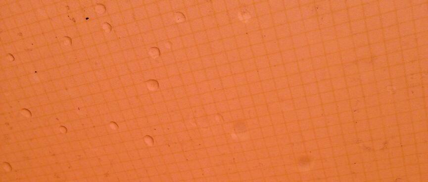 Rain drops sit on the bright orange fly of my tent.