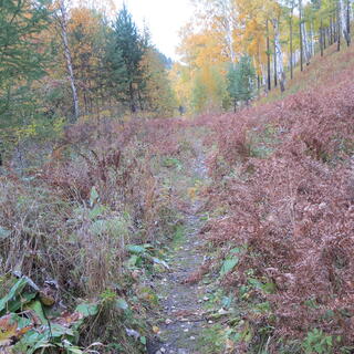 Red shrubs flank the trail.