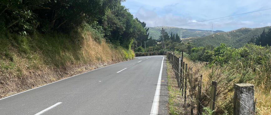 A white line on the road is around 30 cm from a wood and wire fence.