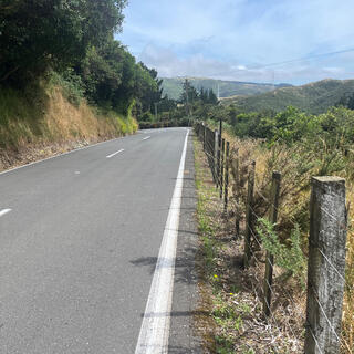 A white line on the road is around 30 cm from a wood and wire fence.