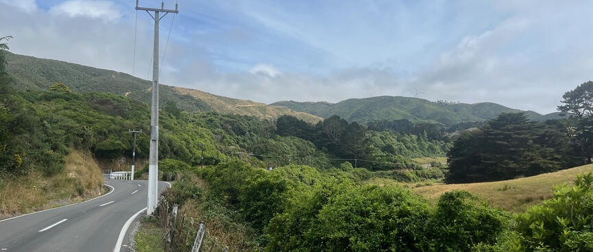 Surrounded by trees, the road snakes into the distance.