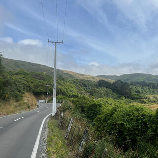 Surrounded by trees, the road snakes into the distance.