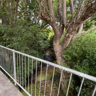 A small creek runs underneath the bridge.