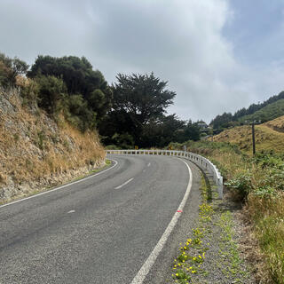 The road disappears around a blind left hand corner.