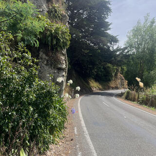 A natural stone wall at the bend of the road.