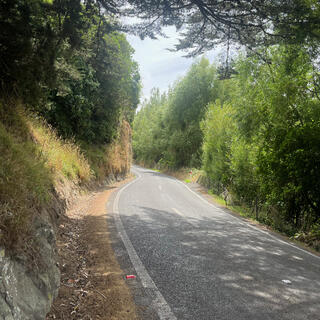 The 2 lane road narrows as it passes between trees and a wall.