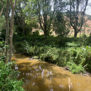 A brown river several metres across runs beneath shady trees.