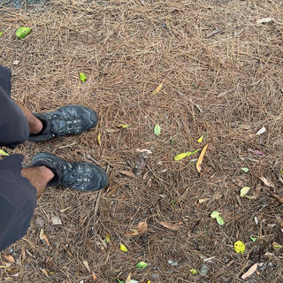 Looking down at the pine needles and my tramping boots.