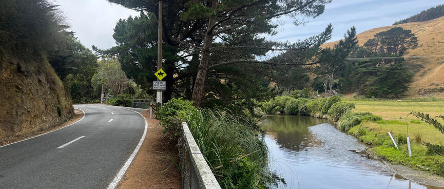 An empty road and a slow flowing river.