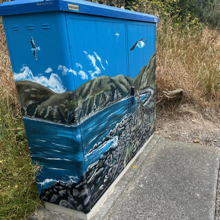 Rocky beaches, hills, sea and seagulls painted on a roadside power box.