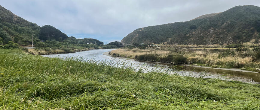 The river widens to twice its width as it winds between grassy fields.