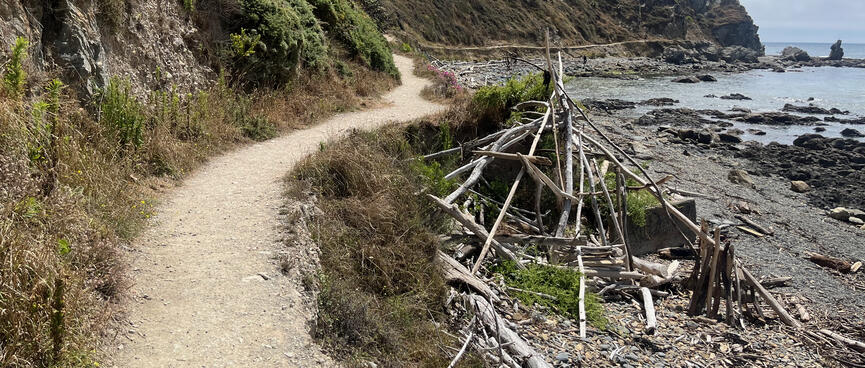 A tidy dirt path runs between a driftwood structure on the beach and the shrub covered bank.