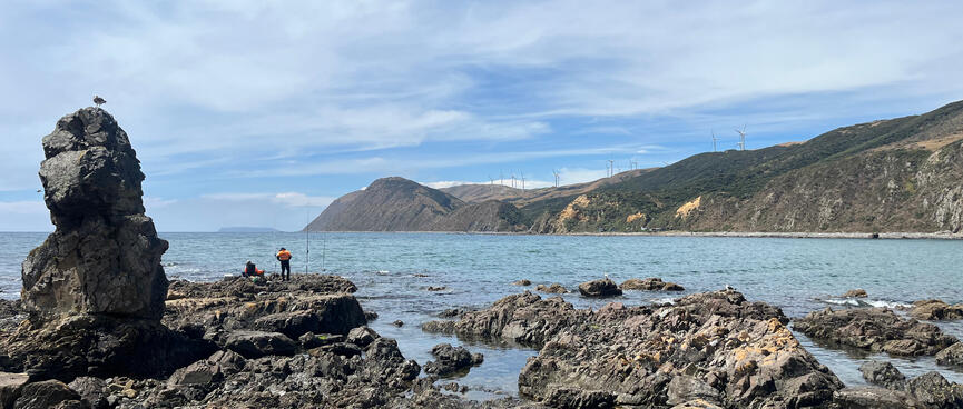 A seagull watches fisherman who watch the sea. Behind them, the hilltop is covered by a wind farm.