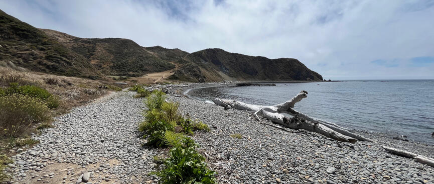 The pressed dirt path becomes covered with pebbles.
