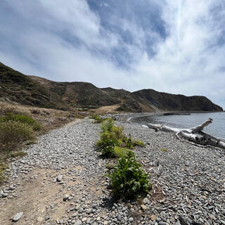 The pressed dirt path becomes covered with pebbles.