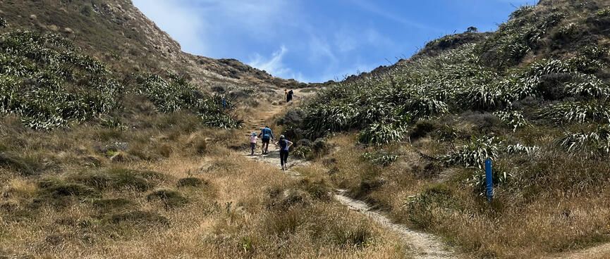 With hands on hips, walkers struggle up the steep path.