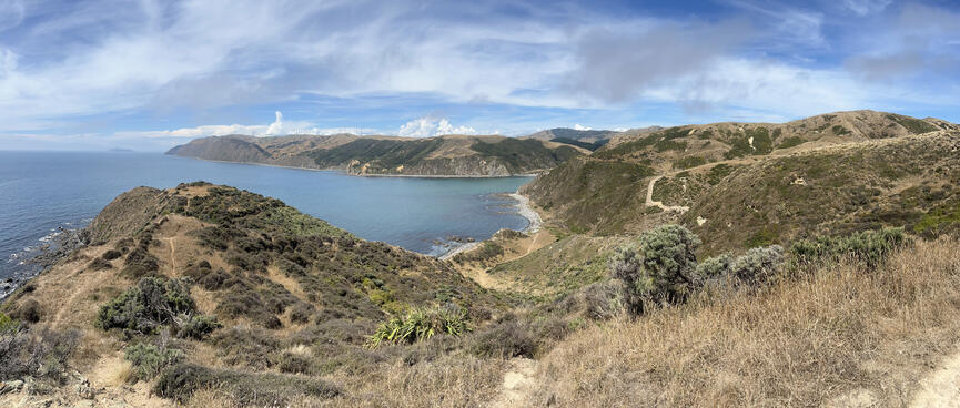 Looking down the steep path, back towards Mākara Beach.