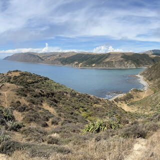 Looking down the steep path, back towards Mākara Beach.