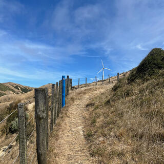 A wood and wire fence on the side of a steep path.