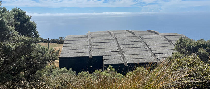Square concrete panels cover the slightly slanted roof of the plus-shaped bunker.