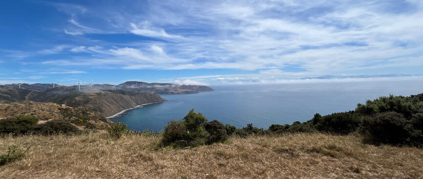 Looking west towards Opau and Te Ikaamaru bays.