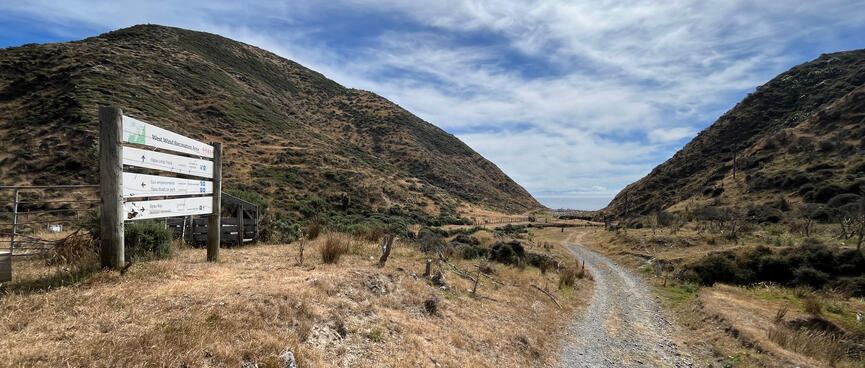 A narrow four wheel drive track passes through scrubby fields as it heads for the coast.