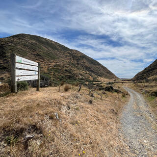 A narrow four wheel drive track passes through scrubby fields as it heads for the coast.